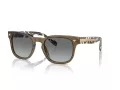 Vogue VO 5571S 314411 53 Men sunglasses