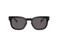 Vogue VO 5571S W44/87 53 Men sunglasses