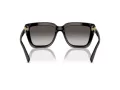 Vogue VO 5575SB W44/8G 55 Women sunglasses