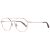 Web WE 5300 033 53 Men, Women glasses