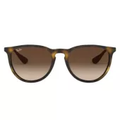 Panto Sunglasses